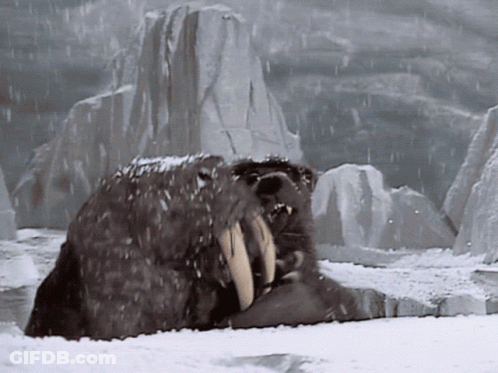 A Walrus Is Laying In The Snow With A Mountain In The Background GIF