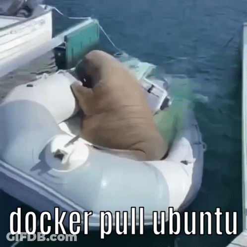 A Walrus Laying On A Boat With The Words Docker Pull Ubuntu GIF