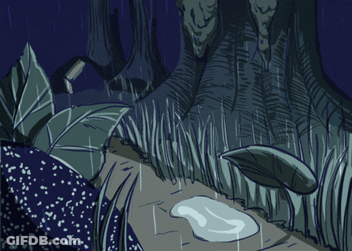 A Water Reflection Portal GIF