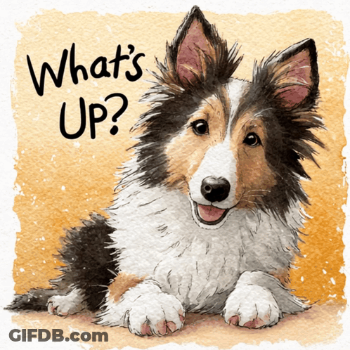 A Watercolor Painting Of A Collie Dog With The Words What 'S Up Written Above It GIF
