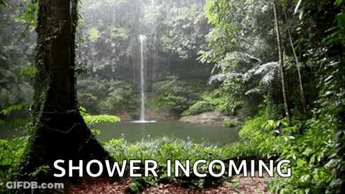 A Waterfall In A Lush Green Forest With The Words Shower Incoming GIF
