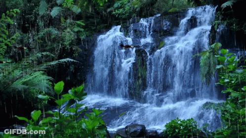A Waterfall In The Middle Of A Forest With Birds Flying Around It GIF