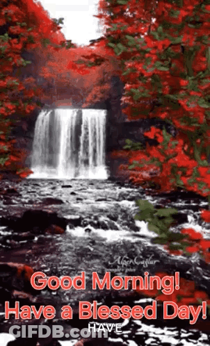 A Waterfall In The Middle Of A Forest With Red Leaves On The Trees GIF