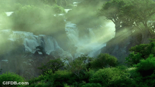 A Waterfall In The Middle Of A Forest With The Sun Shining Through The Fog GIF