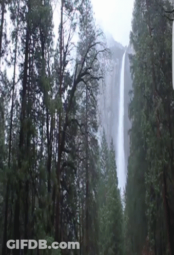 A Waterfall In The Middle Of A Forest With Trees In The Foreground GIF