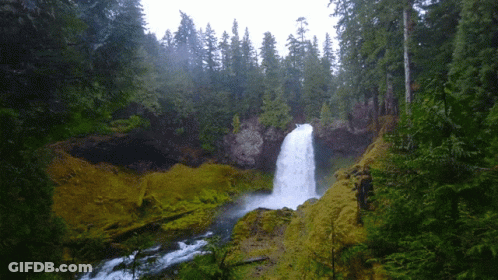 A Waterfall In The Middle Of A Forest With Trees Surrounding It GIF