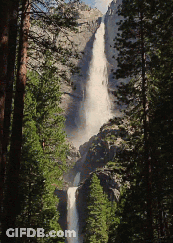 A Waterfall In The Middle Of A Forest With Trees Surrounding It GIF