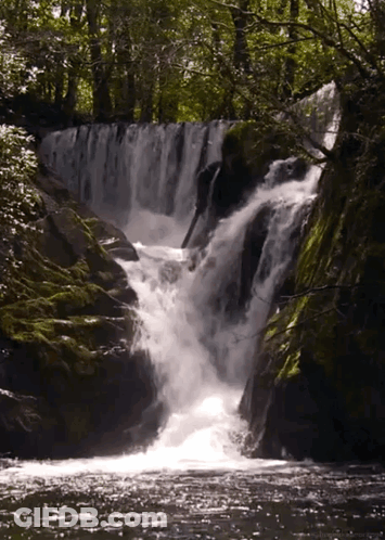 A Waterfall In The Middle Of A Forest With Trees Surrounding It GIF