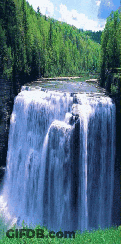 A Waterfall In The Middle Of A Forest With Trees Surrounding It GIF