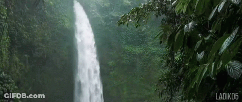 A Waterfall In The Middle Of A Lush Green Forest . GIF
