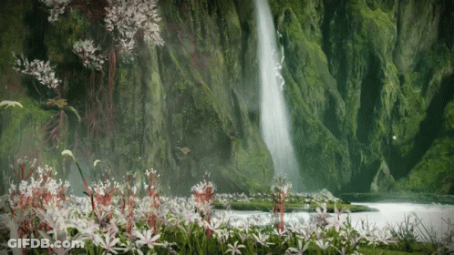 A Waterfall Is Surrounded By Flowers In A Lush Green Forest GIF