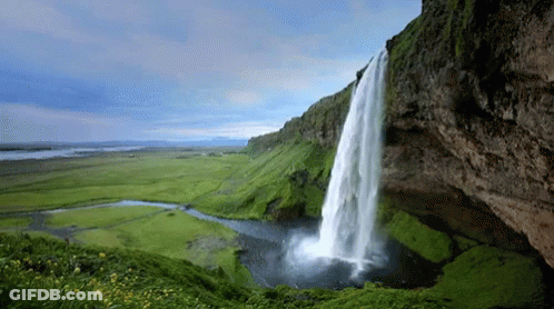A Waterfall Is Surrounded By Greenery And Grass GIF