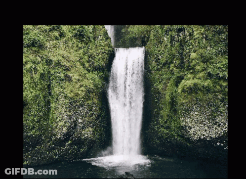 A Waterfall Is Surrounded By Lush Greenery On A Dark Background GIF