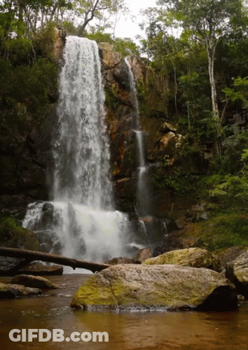 A Waterfall Is Surrounded By Trees And Rocks In A Forest GIF