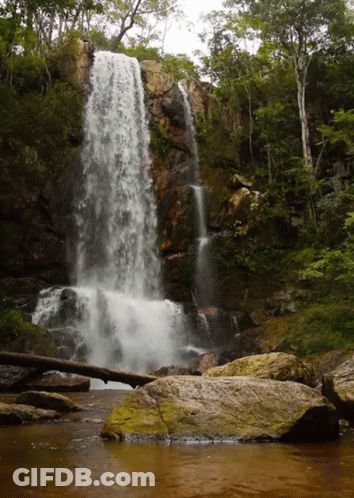 A Waterfall Is Surrounded By Trees And Rocks In A Forest GIF