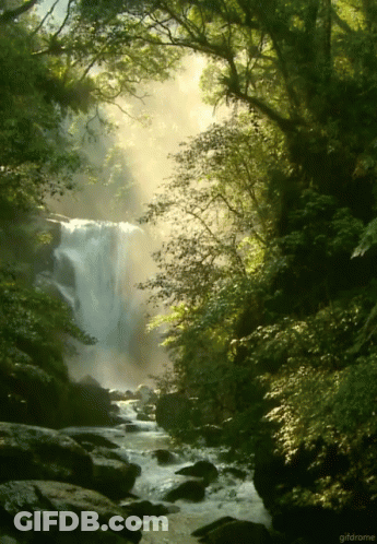 A Waterfall Is Surrounded By Trees And Rocks In A Gif From Gifdrome GIF