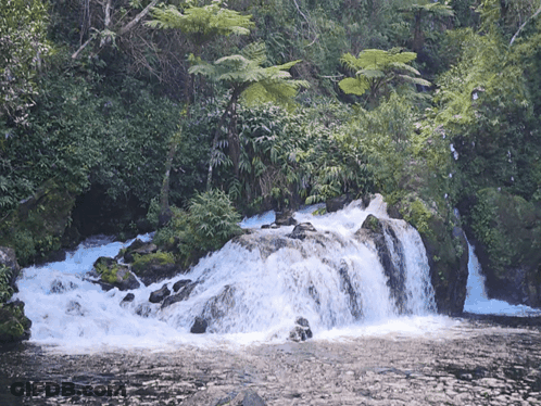 A Waterfall Is Surrounded By Trees And Rocks In A Lush Green Forest GIF
