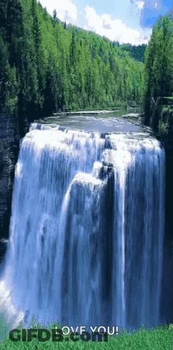 A Waterfall Is Surrounded By Trees And The Words Love You Are Below It GIF