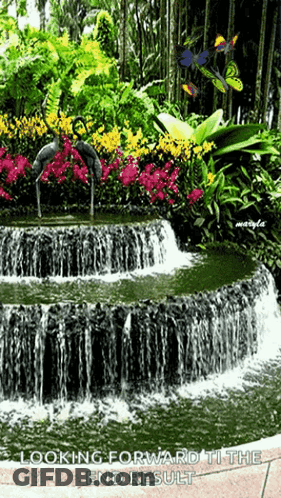 A Waterfall Surrounded By Flowers And Butterflies With The Words Looking Forward To The End Result GIF
