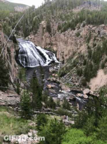 A Waterfall Surrounded By Trees And Rocks In A Valley GIF