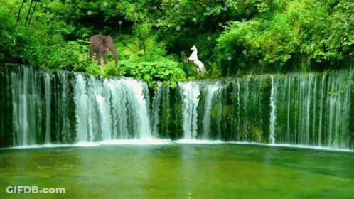 A Waterfall With An Elephant And A Horse Standing On It GIF