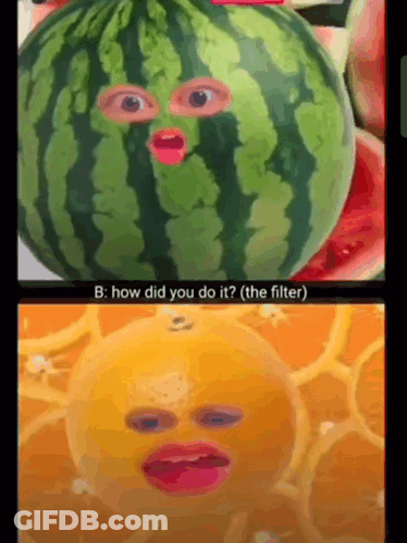 A Watermelon And An Orange With Faces On Them GIF