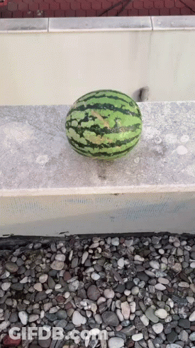A Watermelon Is Sitting On A Stone Ledge GIF