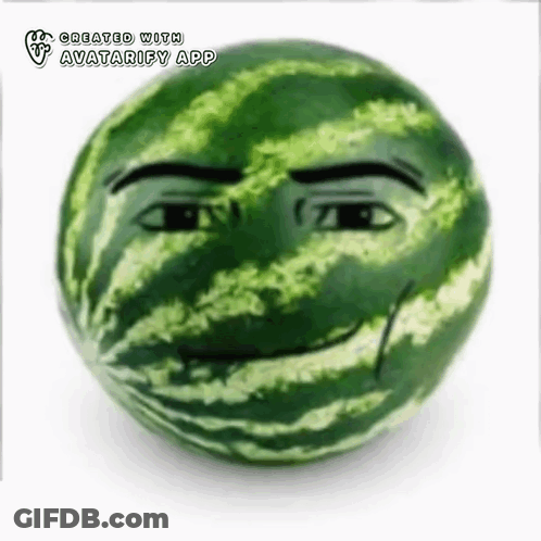 A Watermelon With A Face Drawn On It And The Words Avatarify App Below It GIF