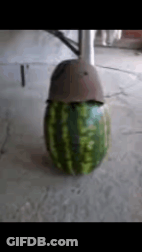 A Watermelon With A Helmet On It GIF