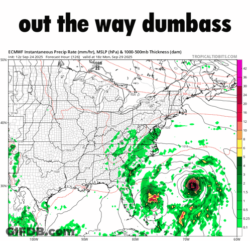 A Weather Map With The Words Out The Way Dumbass GIF