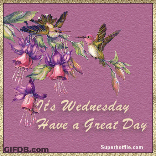 A Wednesday Greeting Card With Hummingbirds And Flowers GIF