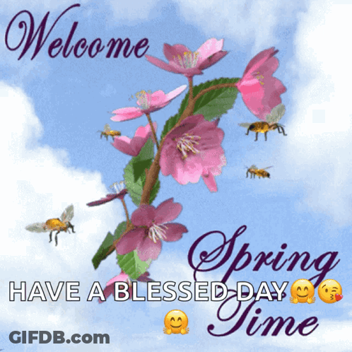 A Welcome Spring Time Card With Pink Flowers And Bees GIF
