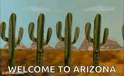 A Welcome To Arizona Sign With Cactus And Mountains GIF
