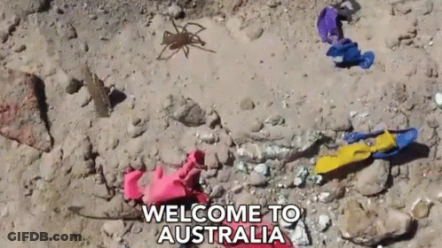 A Welcome To Australia Sign With A Spider And Some Balloons GIF