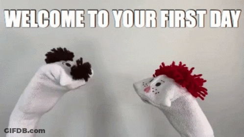 A Welcome To Your First Day Greeting With Two Sock Puppets GIF
