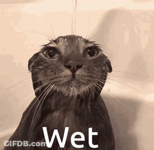 A Wet Cat Is Taking A Bath In A Bathtub With The Word Wet Written Below It GIF
