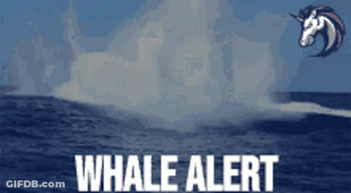 A Whale Alert Sign With A Picture Of A Unicorn In The Background GIF