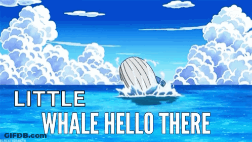 A Whale In The Ocean With The Words Little Whale Hello There GIF