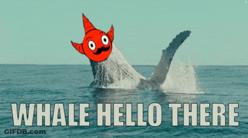 A Whale Is Jumping Out Of The Water With The Words Whale Hello There GIF
