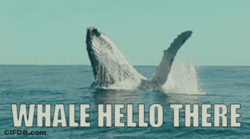 A Whale Is Jumping Out Of The Water With The Words Whale Hello There Written Below It GIF