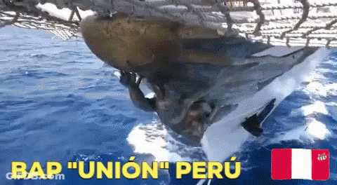 A Whale Is Swimming In The Ocean And The Words Bap Union Peru Are Above It GIF