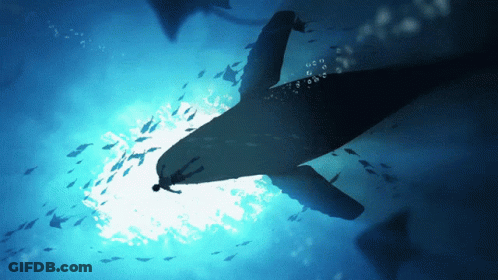 A Whale Is Swimming In The Ocean Surrounded By Small Fish GIF
