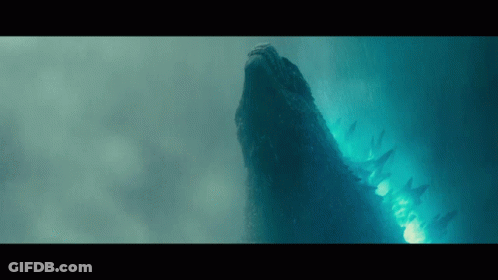 A Whale Is Swimming In The Water And Looking Up At Something GIF