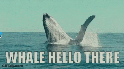 A Whale Jumping Out Of The Water With The Words Whale Hello There GIF
