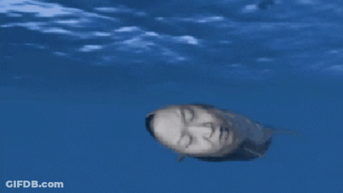 A Whale With A Man 'S Face On It Swimming In The Ocean GIF
