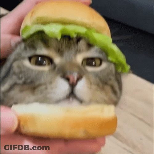 A Whataburger Kitty GIF