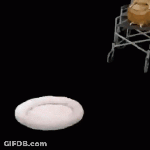 A Wheelchair Sits Next To A Dog Bed In The Dark GIF