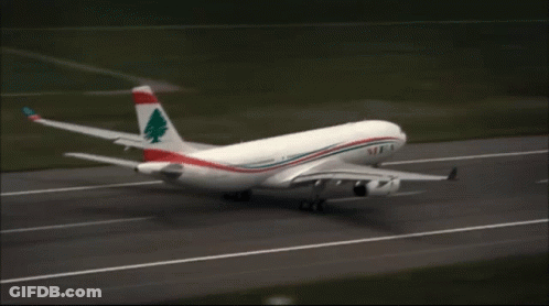 A White Airplane With A Tree On The Tail Is Taking Off GIF