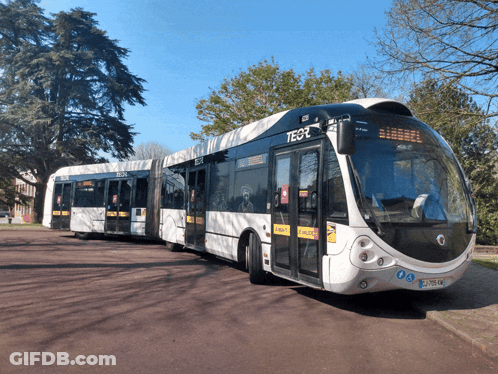 A White And Black Bus With The Number Tegr On The Front GIF