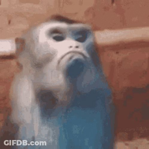 A White And Blue Monkey With A Sad Look On Its Face Is Standing Next To A Wall . GIF